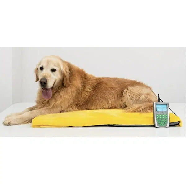Globus MagnetoVet 200, magnetoterapia para perros y gatos con cama