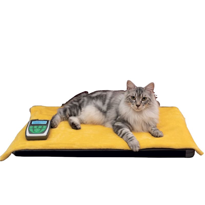 Globus MagnetoVet 200, magnetoterapia para perros y gatos con cama