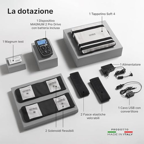 Globus Magnum 2 Pro Drive Portable Battery Magnetotherapy Unit